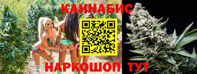 гашик Бузулук