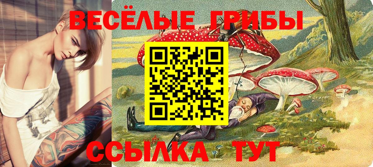 Псилоцибиновые грибы Psilocybe  Вход с VPN  Мурино  Галлюциногенные грибы GOLDEN TEACHER 