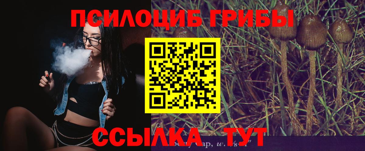 Галлюциногенные грибы GOLDEN TEACHER Мурино