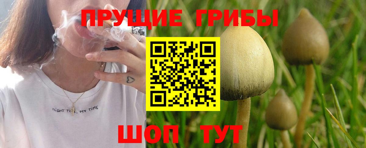 Бошки Шишки Мурино